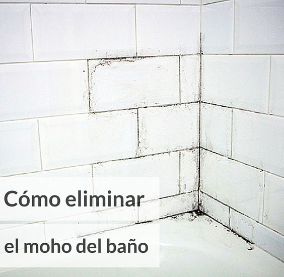 Cómo eliminar el moho de la pared del baño